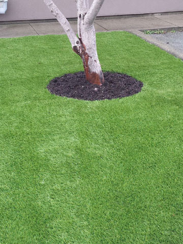 Artificial Turf Preparation and Installation