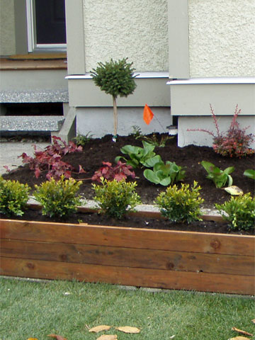 Design Idea Gallery of Potted Planters in BC Canada