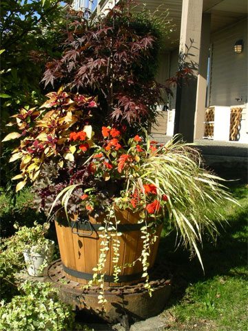 Design Idea Gallery of Potted Planters in BC Canada
