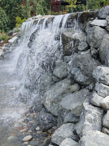 Water Features and Ponds