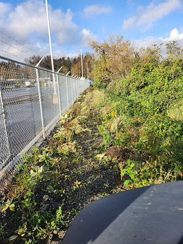 Riparian area installation Mission, Maple Ridge, Coquitlam, Abbotsford and Langley BC