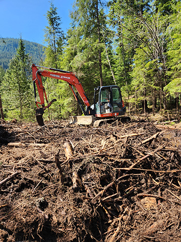 Brush removal Mission, BC