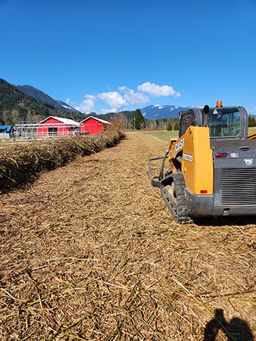 Brush removal Mission, Maple Ridge, BC