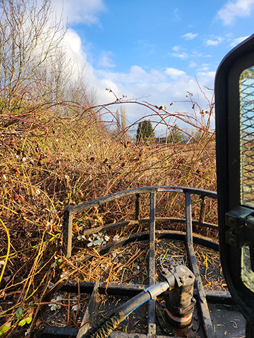 Brush removal Mission, BC