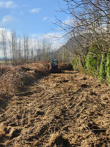 Brush removal Mission, Maple Ridge, BC