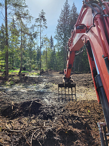 Brush Blackberry removal Mission, Maple Ridge, Coquitlam, Abbotsford and Langley BC