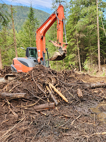 Brush removal Mission, Maple Ridge, Coquitlam, Abbotsford and Langley BC