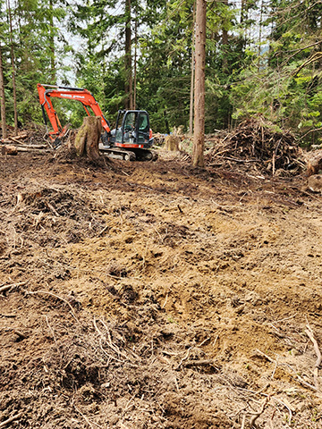 Brush removal Mission, Maple Ridge, Coquitlam, Abbotsford and Langley BC